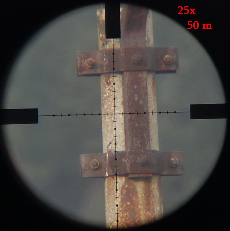 50m.jpg